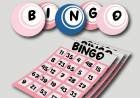 BINGO A BENEFICIO SEDE CENTRO VECINAL
