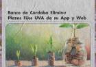  Banco de Córdoba Elimina Plazos Fijos UVA de su App y Web
