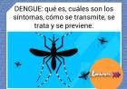 DENGUE: HABLA EL DR. MIROLI