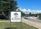 EMPRENDEDORES DE PURA CEPA Y SABOR: EL OLIVO