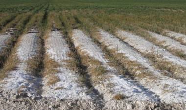  TIEMPO ECONÓMICO DEL MARTES 8.3.22