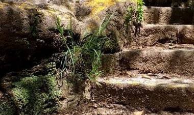 LAS NOTICIAS DEL DÍA 23.03.22