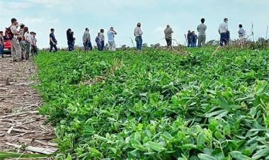 TIEMPO ECONÓMICO. 29.03.22