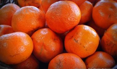 DON VICTORIO, nueva marca para frutas, verduras, vinos y más