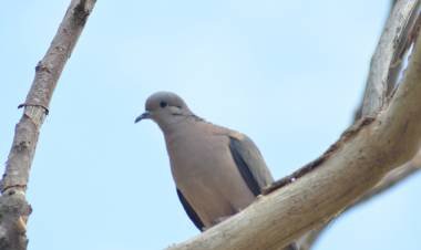 POSTCAD TANTIRAMA INFORMA. NOTICIAS 30-9-22