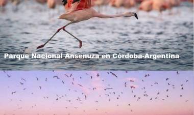 PARQUES NACIONALES 2022