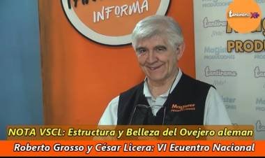 OVEJEROS ALEMANES: BELLEZA Y ESTRUCTURA