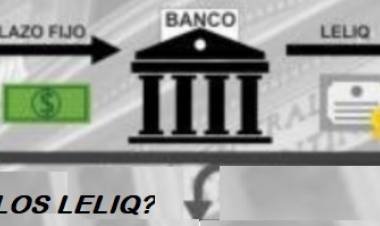 ¿QUÉ   SON LAS/LOS LELIQs?