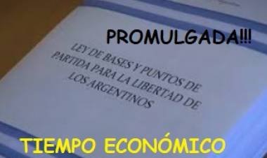 LA LEY DE BASES EN BOLETÍN OFICIAL