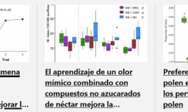 ABEJAS Y NÉCTAR ARTIFICIAL