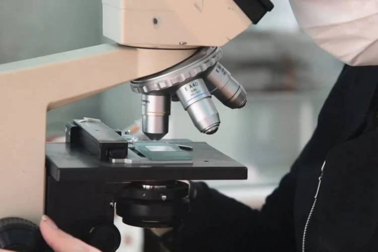 Covid-19 en Córdoba: el listado de los 120 laboratorios habilitados para hacer testeos desde el 10 de enero