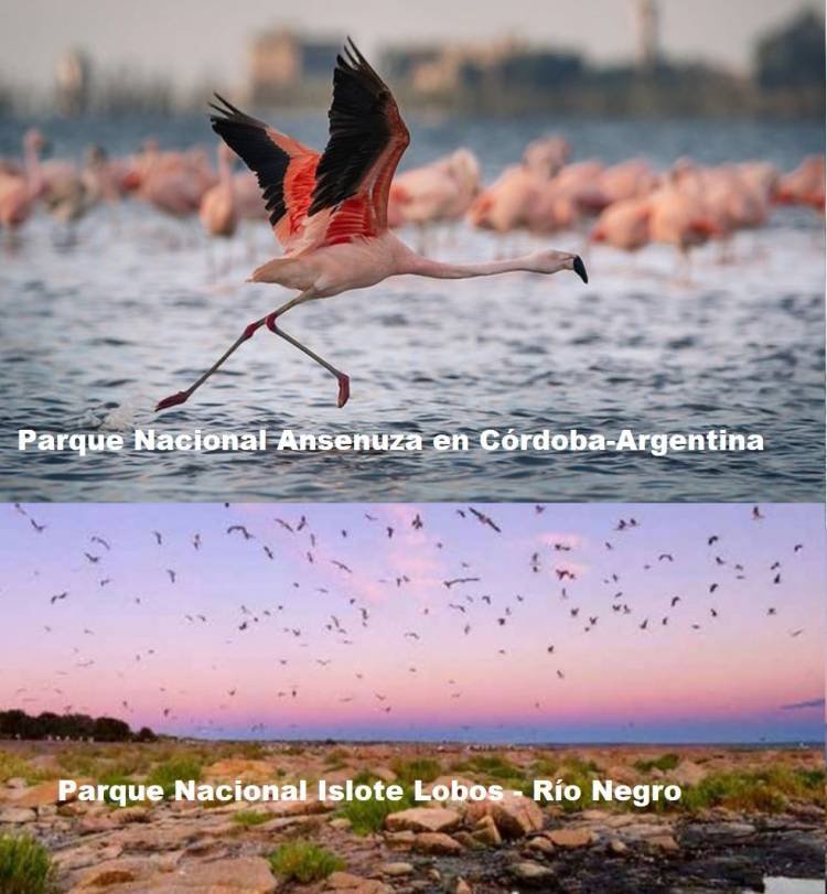 PARQUES NACIONALES 2022
