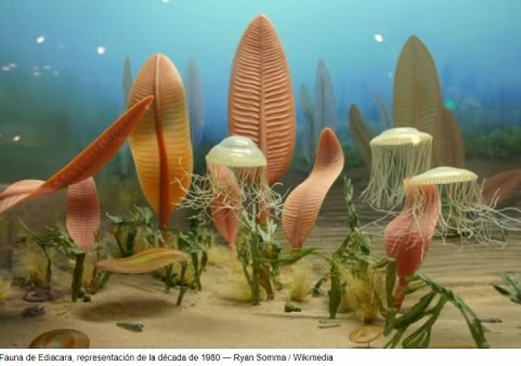 ¿HUBO EXTINCIONES ANTES DE LA PRIMERA GRAN EXTINCIÓN MASIVA?