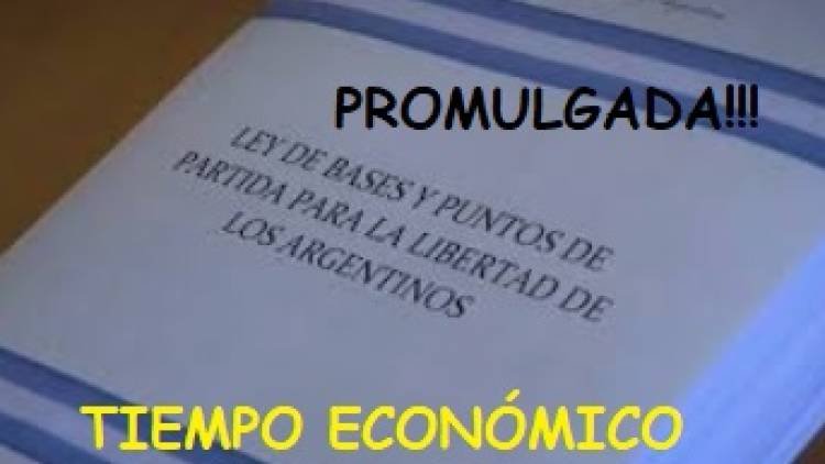 LA LEY DE BASES EN BOLETÍN OFICIAL