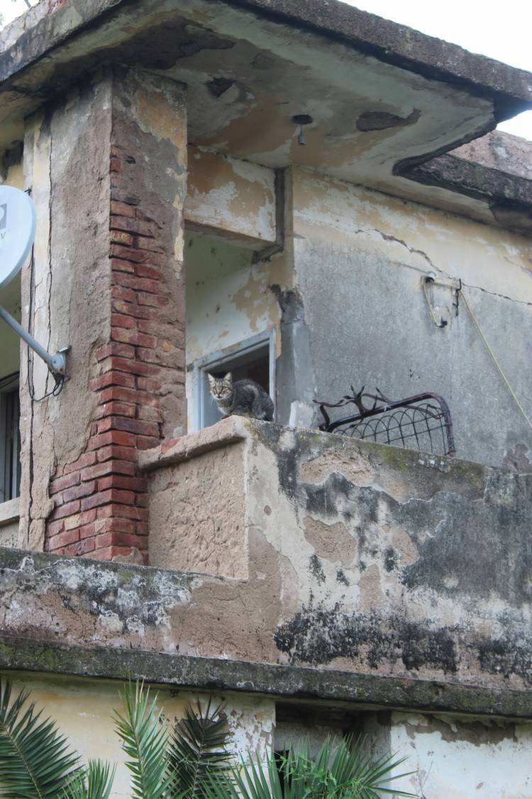 GRAN HOTEL VIENA. El museo.  